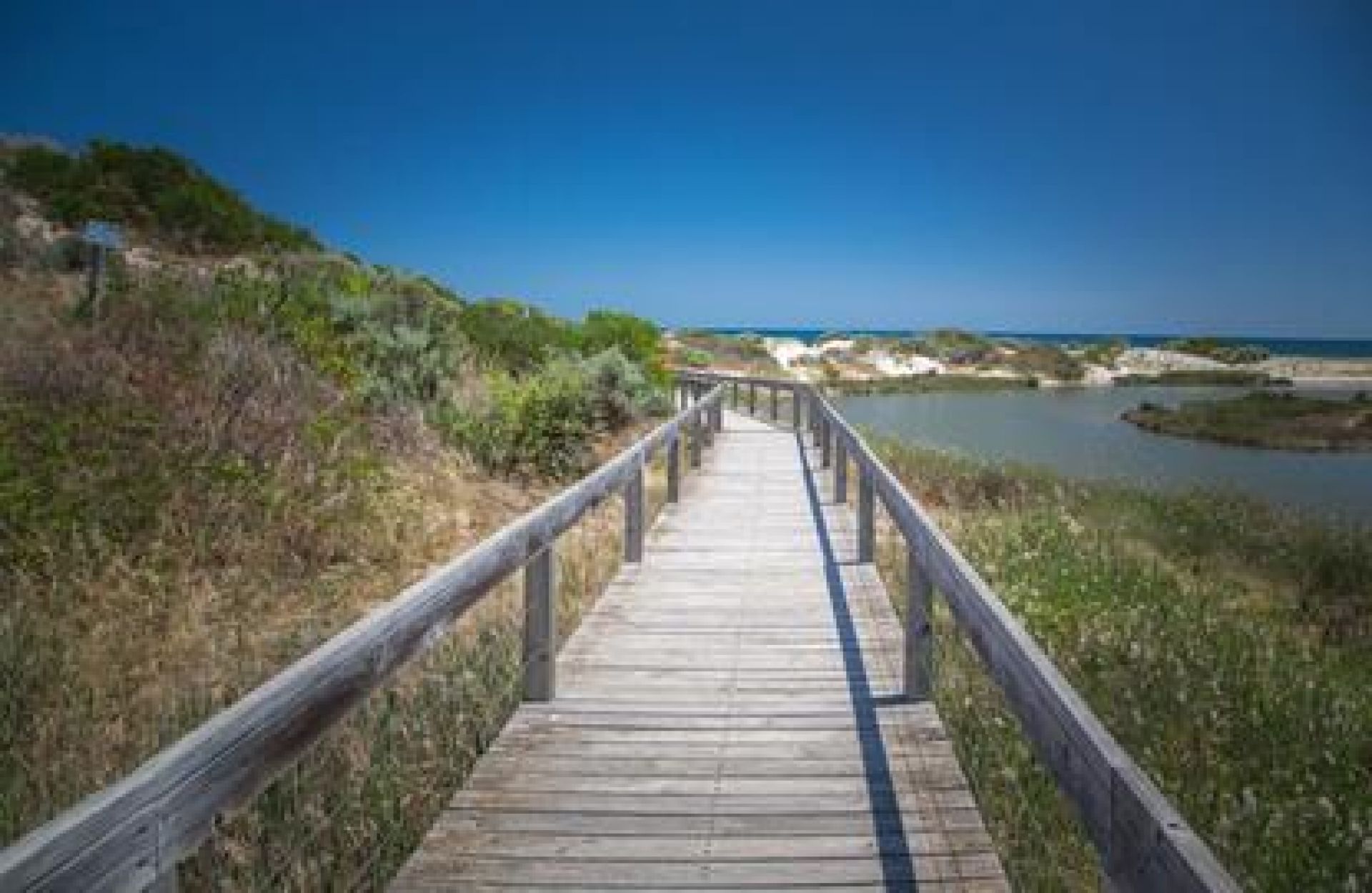 A photo looking down one of the board walks