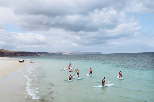 Image of Youth on Stand Up Paddle Boards