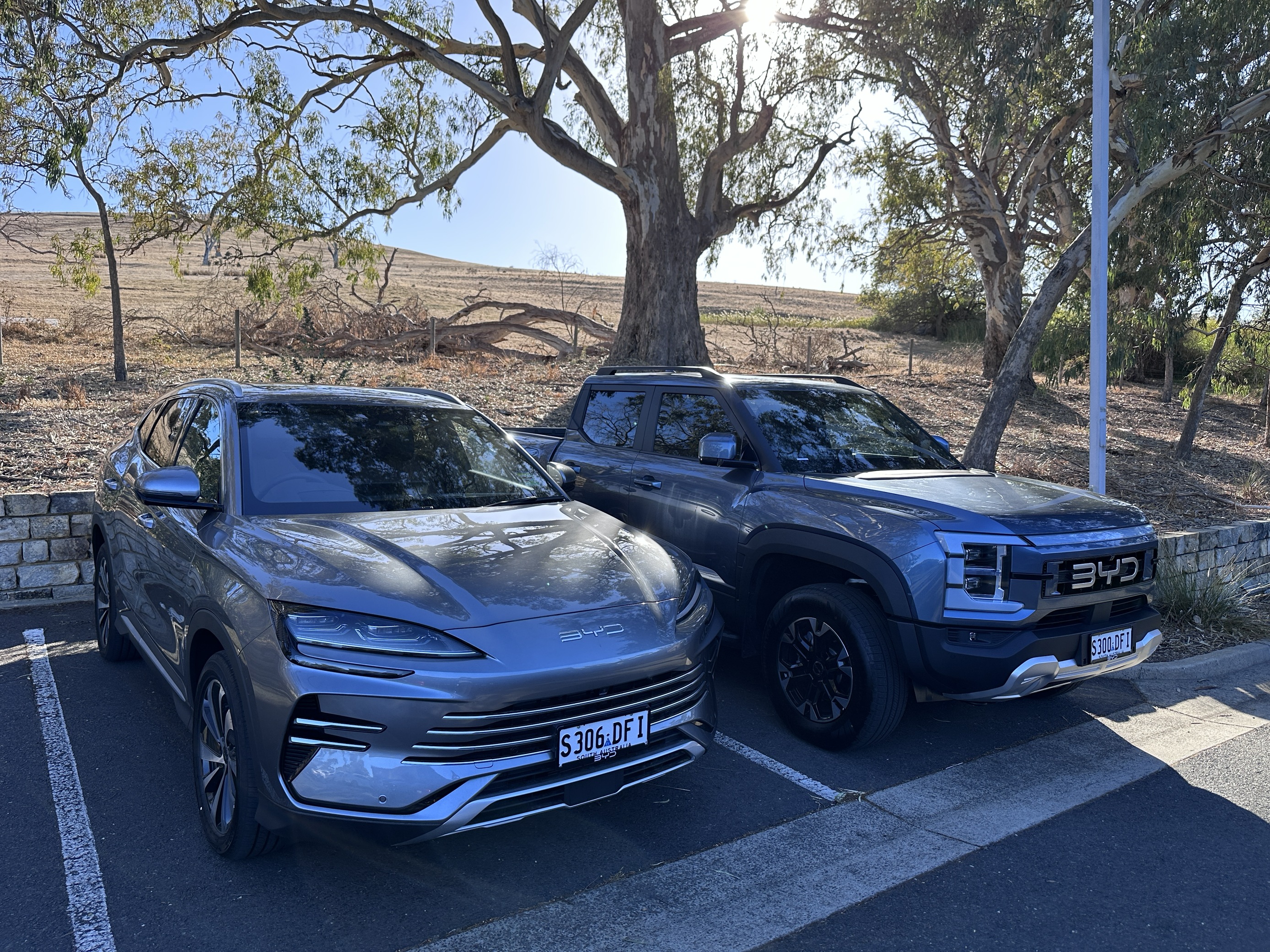 Two electronic vehicles parked beneath a gum tree