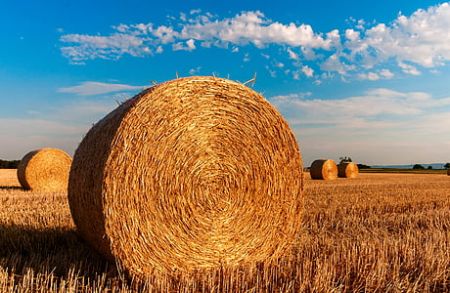 A large round bale of hay in a field