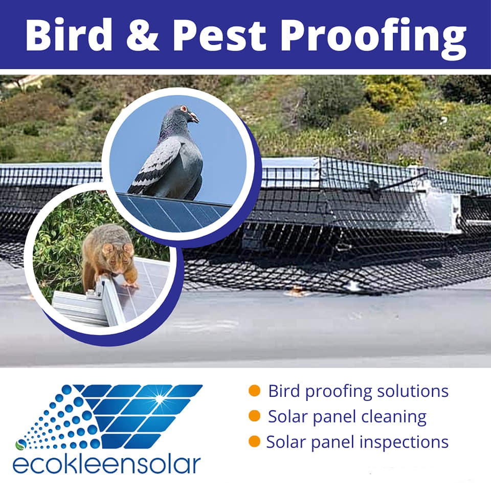 EcoKleen Bird