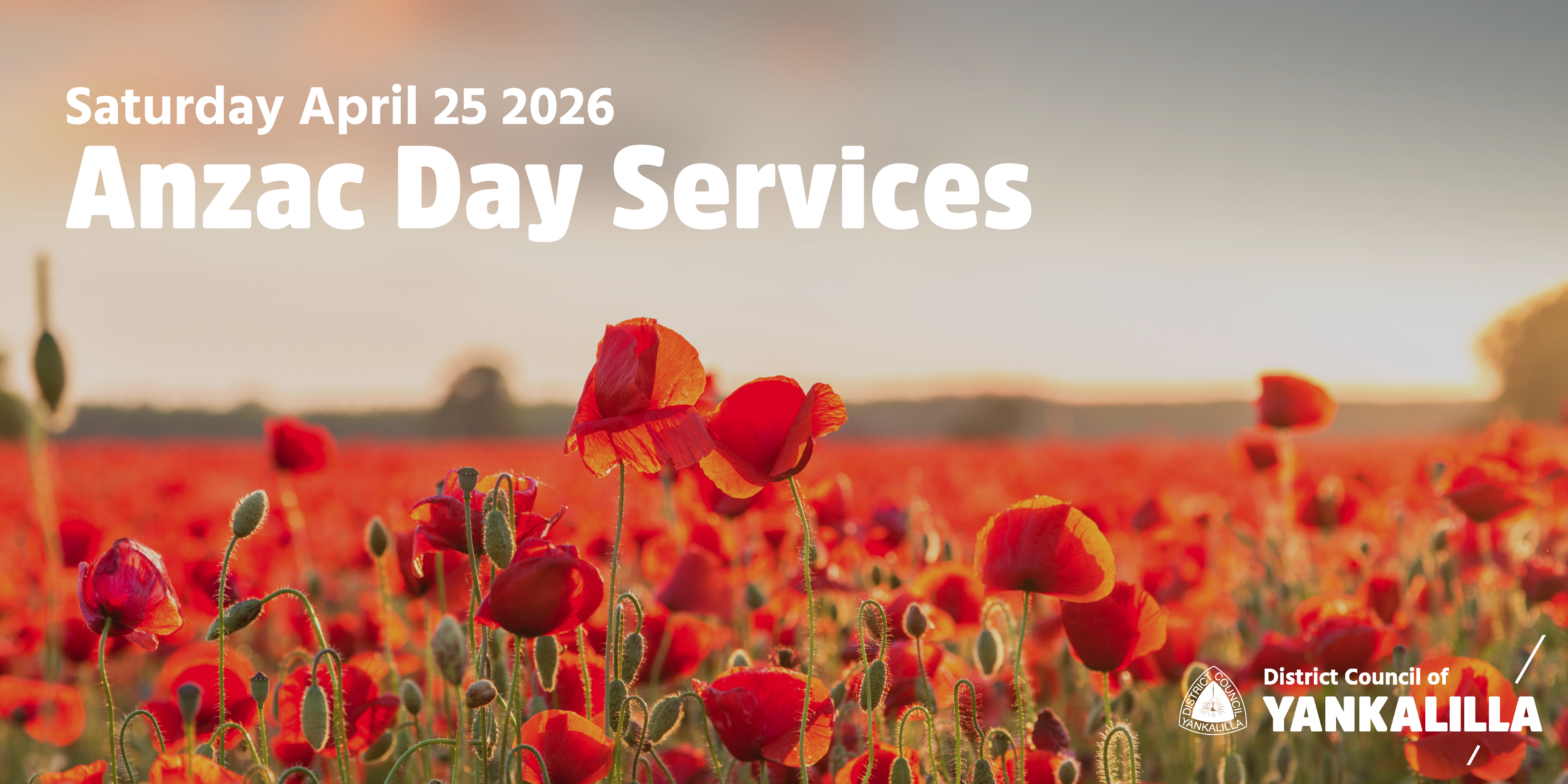 Photograph of a vibrant red poppy field under a soft, cloudy sky, promoting Anzac Day Services on Saturday, April 25, 2026. Text includes event date and title in bold white font, with District Council of Yankalilla logo and name in the bottom right corner.
