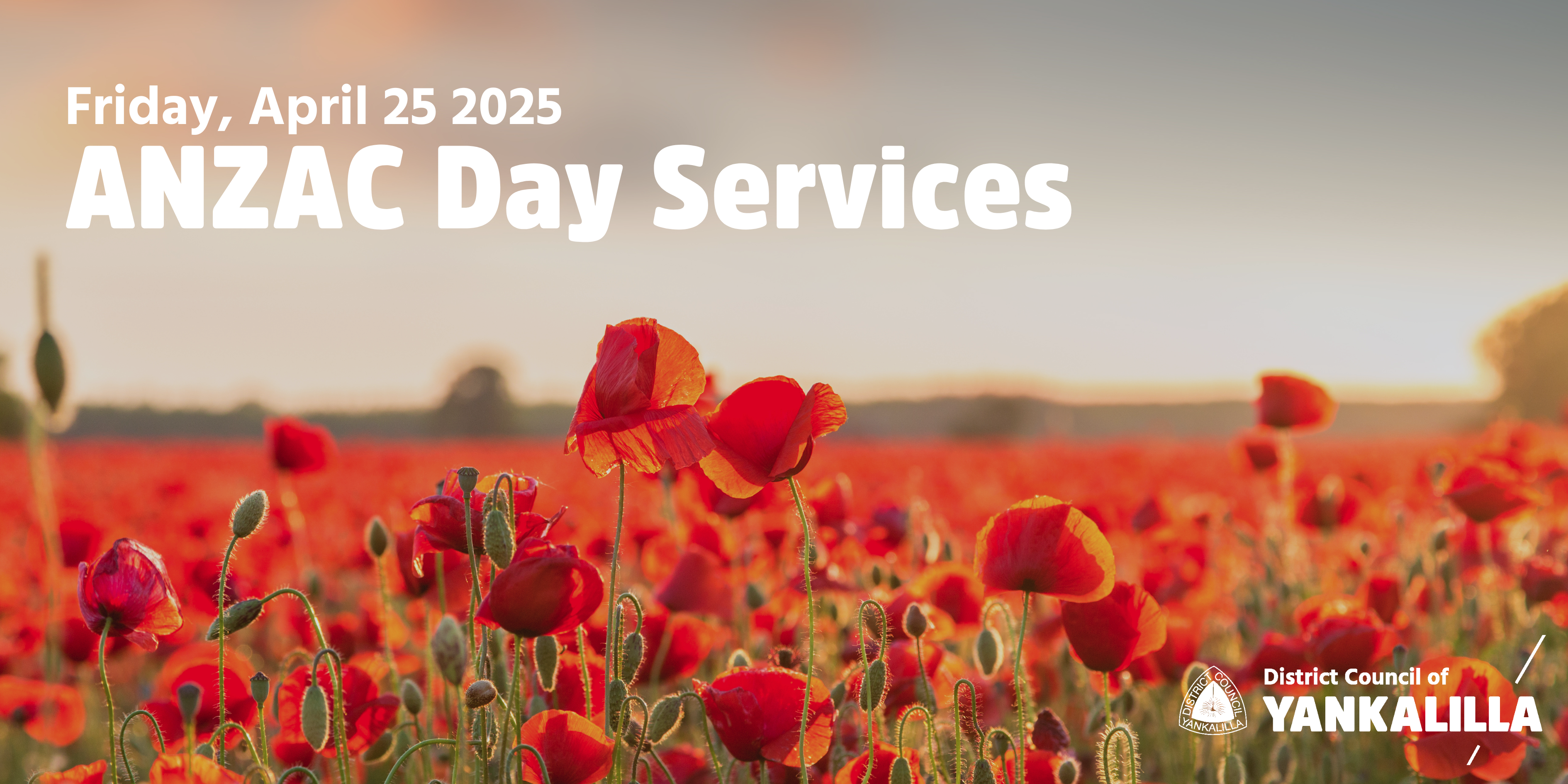A field of red poppies with the title 'ANZAC Day services' over the top
